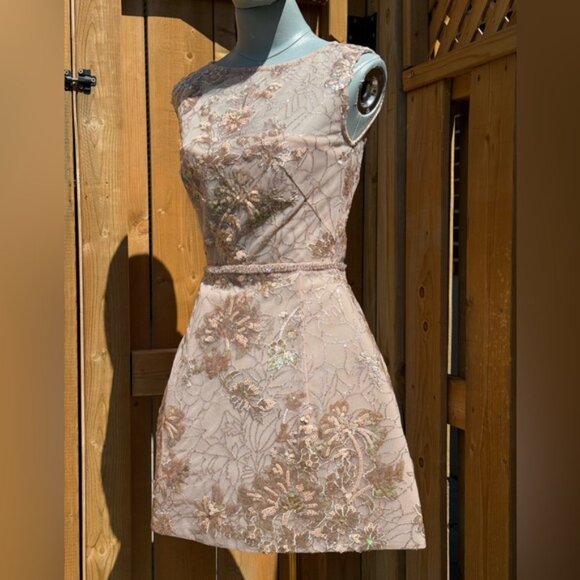 🆕 BRONX & BANCO 🧿 NWOT Violet Mini Dress, Gold & Champagne Sequin - Sz XS US 2 - Picture 4 of 15